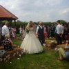 Weddings (18)